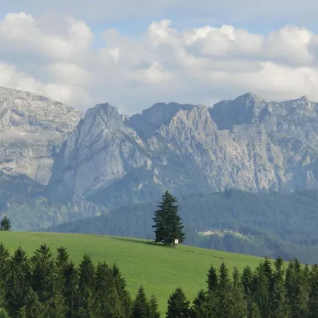 Apartment Beautiful Flat With Balcony In Bavaria